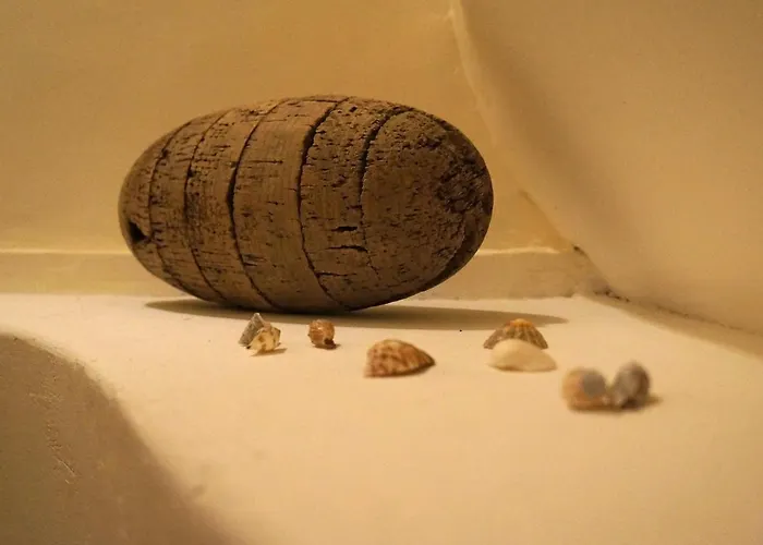 L'ostendaise Appartement *